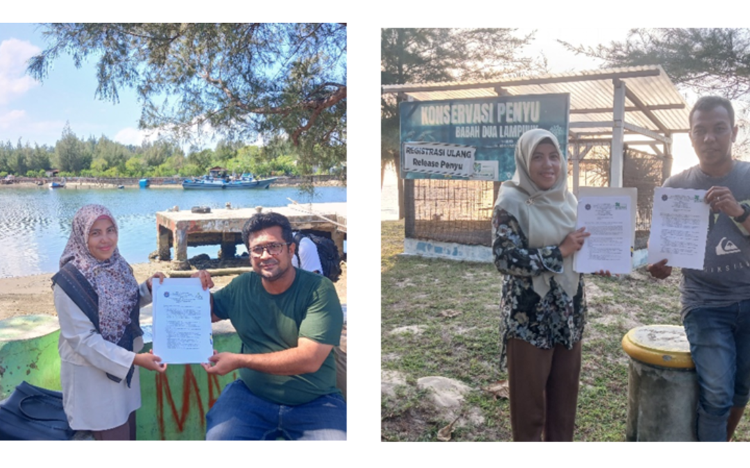 Prodi Sumberdaya Akuatik (SDA) FPIK UTU melakukan Kerjasama dengan Lembaga Jaringan KuALA dan Kelompok Konservasi Penyu Babah dua Lampuuk.