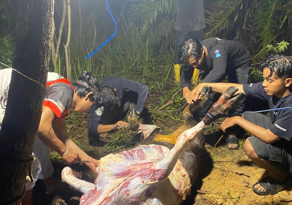 Merawat Tradisi di Tengah Masa Pemulihan, Tim “Mahasiswa Berdampak” UTU Berbaur Sukseskan Tradisi Meugang Kampung Durian