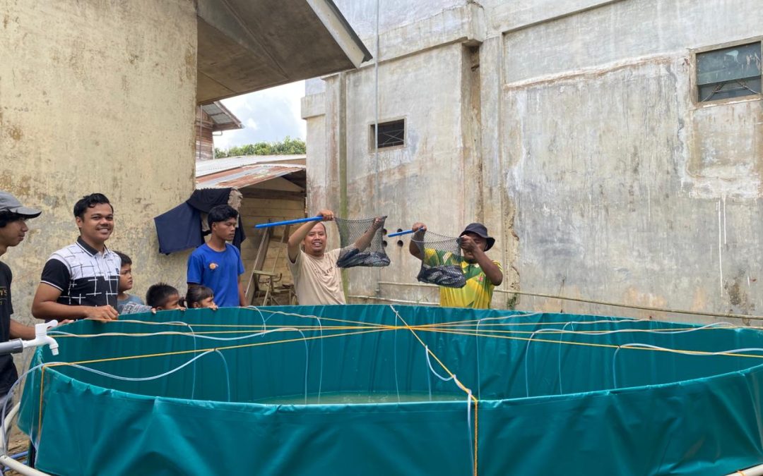 Panen Perdana dan Kenduri Perpisahan: Akhir Manis Pengabdian Tim “Mahasiswa Berdampak” UTU di Aceh Tamiang