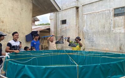 Panen Perdana dan Kenduri Perpisahan: Akhir Manis Pengabdian Tim “Mahasiswa Berdampak” UTU di Aceh Tamiang